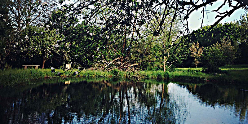 The Lily Pond at ANRÁN