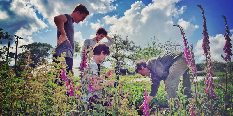 The Organic Kitchen Garden at ANRÁN