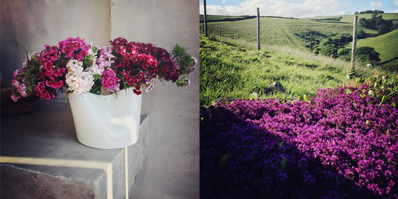 The Organic Kitchen Garden at ANRÁN