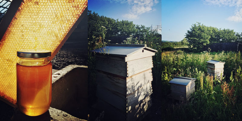 The Organic Kitchen Garden at ANRÁN