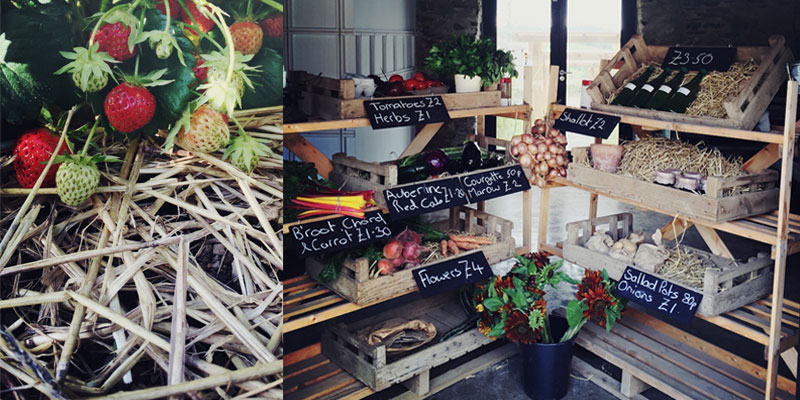 The Organic Kitchen Garden at ANRÁN