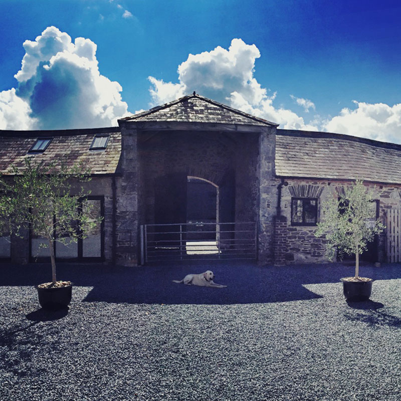 The Courtyard