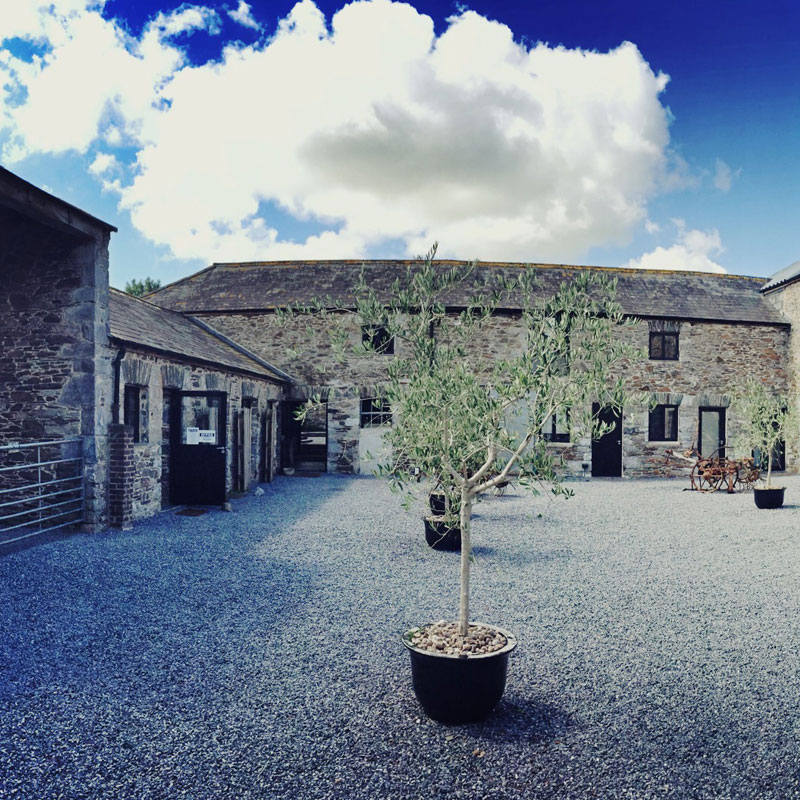 The Courtyard