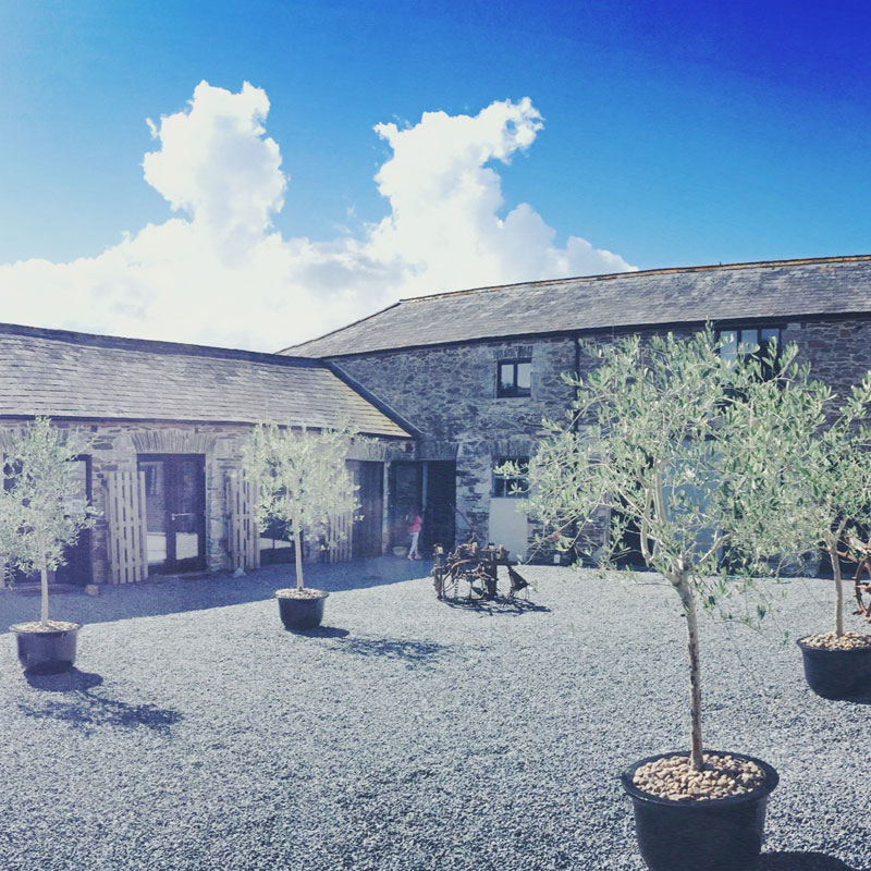 The Courtyard
